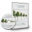 Foto_Baum_BoulevardTreesV01_A