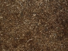 Boden-Erde-Steine_Textur_A_P4131167