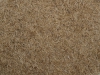 Boden-Erde-Steine_Textur_A_P8204515