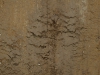 Boden-Erde-Steine_Textur_A_P9195028