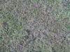 Boden-Erde-Steine_Textur_B_00772