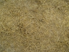 Boden-Erde-Steine_Textur_B_00933