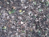 Boden-Erde-Steine_Textur_B_02799
