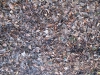 Boden-Erde-Steine_Textur_B_02808