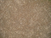 Boden-Erde-Steine_Textur_B_0788