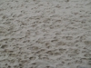 Boden-Erde-Steine_Textur_B_1767