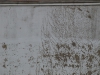 Grunge-Dreck_Textur_A_P6056801