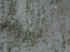 Grunge-Dreck_Textur_A_P9209729