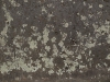 Grunge-Dreck_Textur_A_PA030041