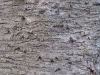 Baum-Rinde_Texturs_B_27300