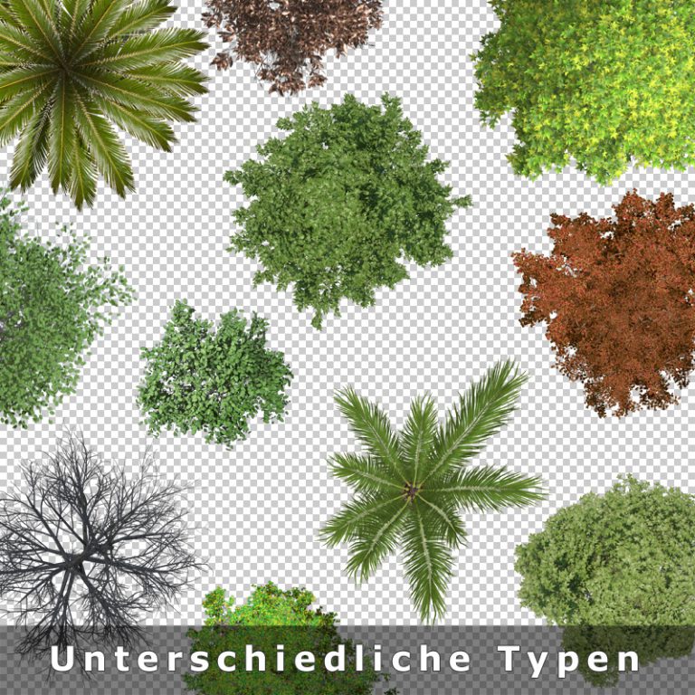 Top View Trees – Freigestellte Bäume als Draufsicht von oben (.PNG)